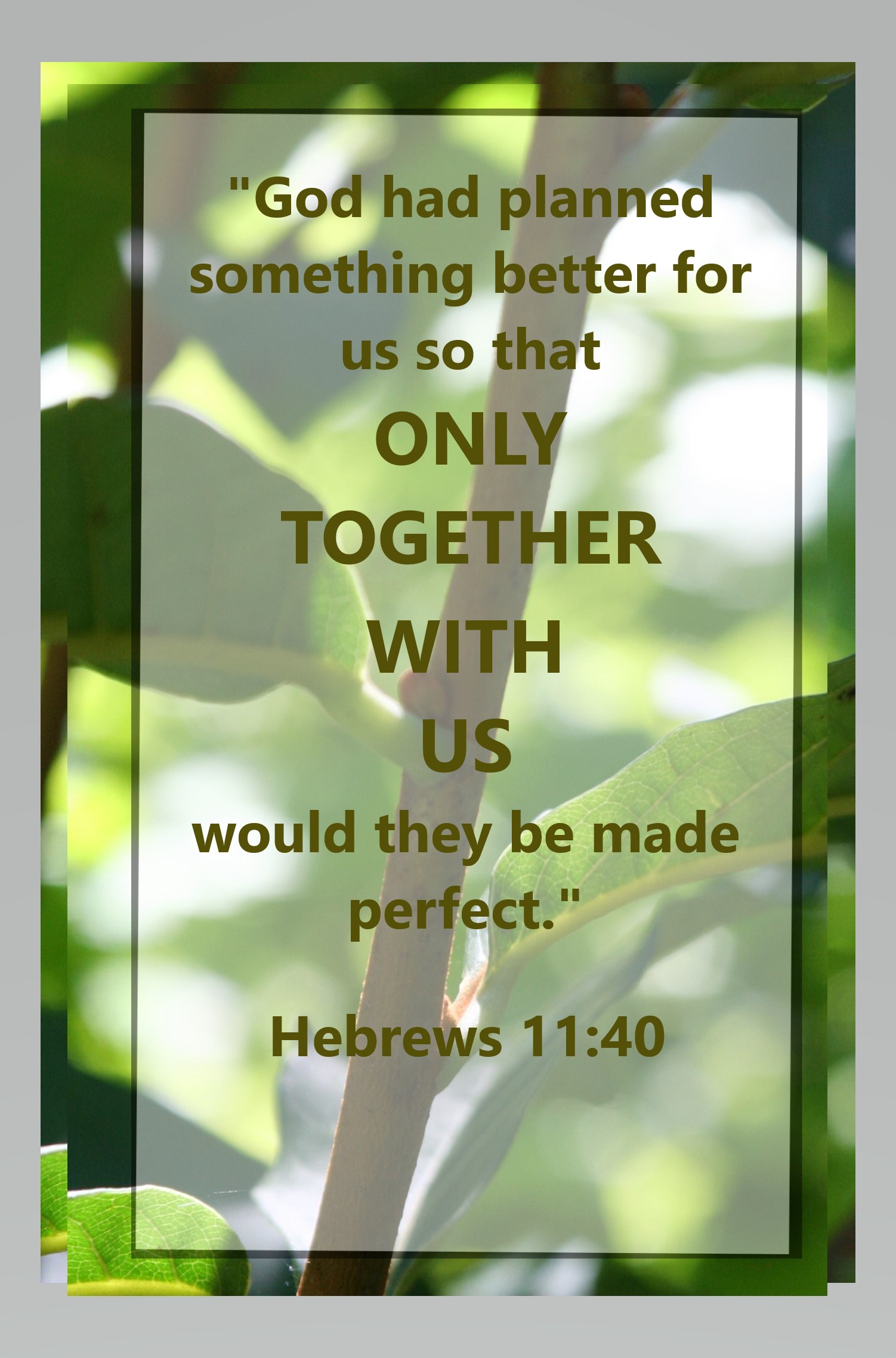 Stem_God has planned something better2.jpg