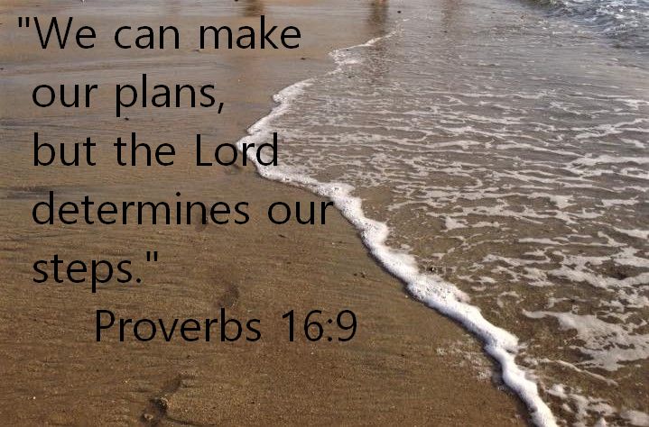 Lord determines our steps